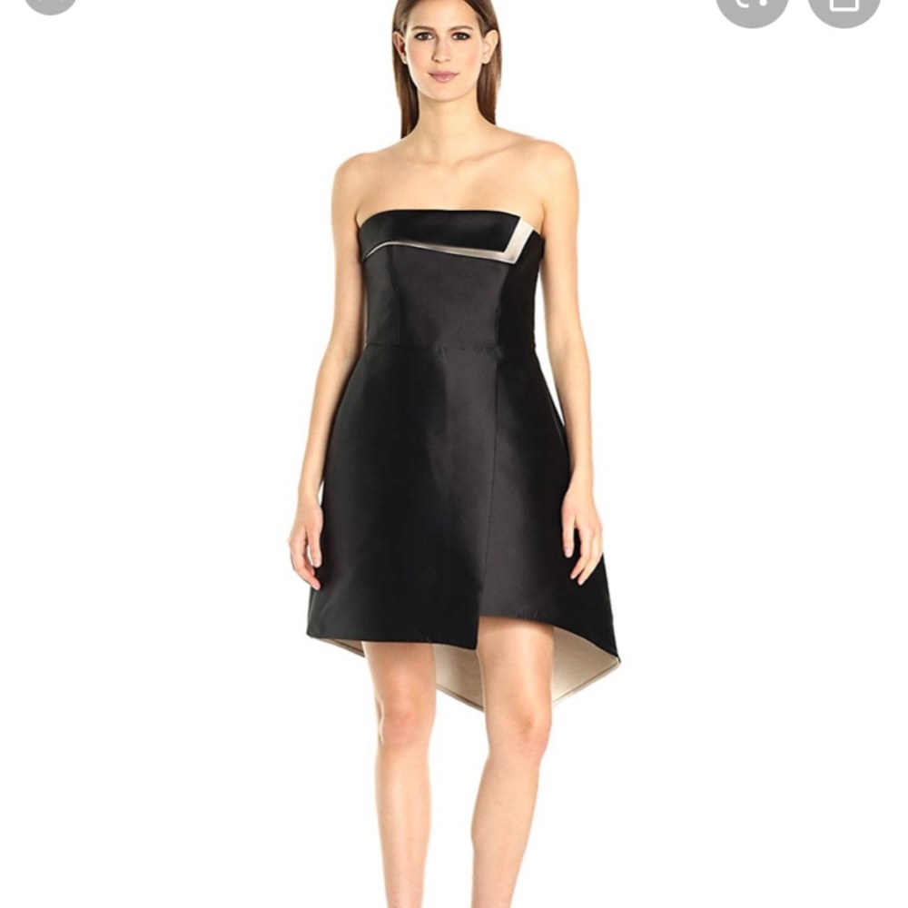 Halston Heritage Color Blocked Dress